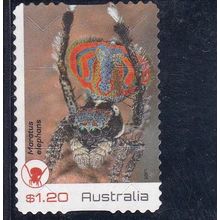 Australia 2023 - Peacock Spiders, Maratus elephans -$1.20 s/a used