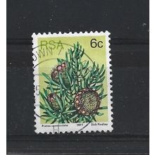 SouthAfrica.SG419 6c Protea Canaliculata.Fine Used.Sep25f