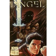 Angel: After the Fall # 022 NM (CvrA) MODERN AGE COMICS