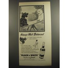 1952 Black & White Scotch Ad - Always well balanced