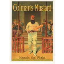 WG Grace Cricket Colmans Mustard Advertising Postcard
