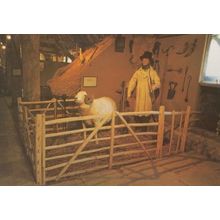 Avebury Wiltshire Horned Ram & Farming Shepherd Barn Waxwork Vintage Postcard