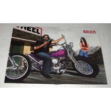 2003 David Mann Illustration - Biker