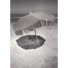 Uruguay Dog Under Umbrella In Shade Parasol Museum Photo Winner Dogs Postcard