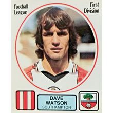 Panini Football 82 Dave Watson Southampton #217