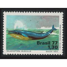 Brazil Blue Whale 1977 MNH SG#1663 MI#1597