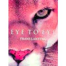 Eye to Eye