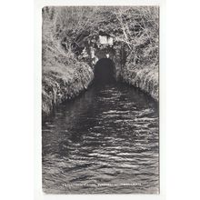 The Tavistock Canal Tunnel Morwellham Postcard Devon