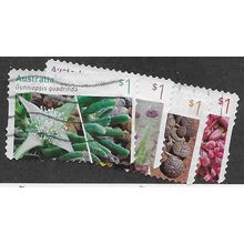 AUS 2016 (SET) (S/A) 'AUSTRALIAN SUCCULENTS' (4v) FINE USED (EBID64-723e)