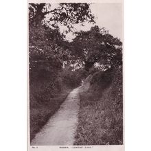 Roden Haughmond Shrewsbury Lovers Lane Real Photo Postcard