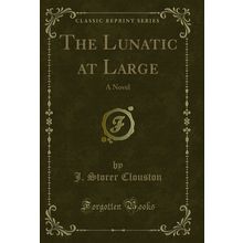 The Lunatic at Large: A Novel (Classic Reprint)