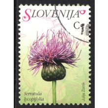 SLOVENIA 2007: FLORA - C SERRATULA LYCOPIFOLIA USED (G20)
