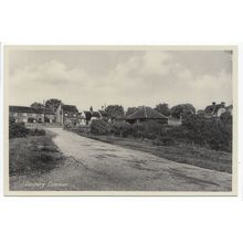 Danbury Common Essex Postcard D3
