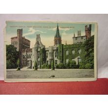 HOME OF MARQUISS BUTE, CARDIFF CASTLE, WALES unused antique postcard =