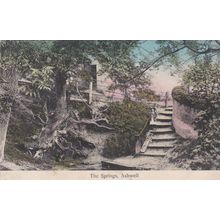 ED 77 ASHWELL - THE SPRINGS. PRINTED POSTCARD