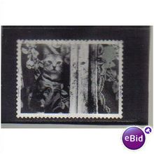 2001 GB CAT AT WINDOW F/U SG2193