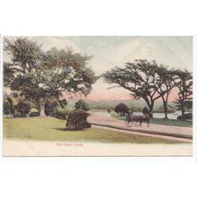 The Park Poole Dorset Local Publisher L Wilkins Postcard