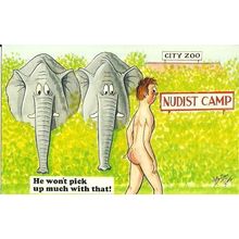 BAMFORTH COMIC "Nudist Camp" Postcard (2073)