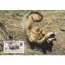 Marbled Polecat Kazakhstan Rare WWF Stamp FDC Postcard