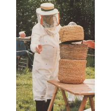 30,000 Bees Straw Hive Bee Transfer Brave Beekeeper Postcard