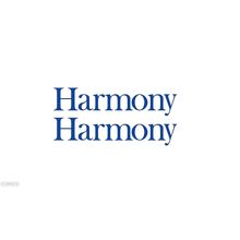 2 Harmony Camper van motorhome graphics stickers decals, Harmony Separated Text