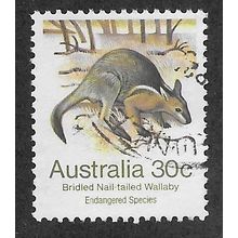 AUS 1981 30c 'WILDLIFE- WALLABY' FINE USED (EBID60-028)