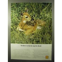 1970 Shell Oil Ad - In Three Weeks He May Be Dead
