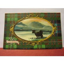 LOCH ACHRAY, TROSSACHS unused antique postcard by B. B. =