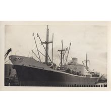 Aegean Dolphin Greek Cargo Ship Vintage Rare Photo