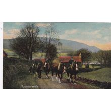 ED 204 HEAVY HORSES - HOMEWARD BOUND . PRINTED POSTCARD