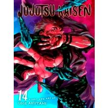 Jujutsu Kaisen, Vol. 14 - Gege Akutami