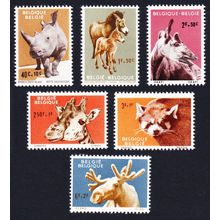 Belgium Panda Rhino Giraffe Animals of Antwerp Zoo 6v 1961 MNH SG#1778-1783