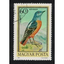 Hungary Rock thrush Song Bird 60fi 1973 Canc SG#2792 MI#2856