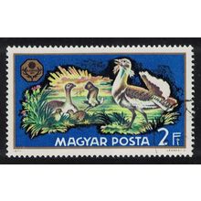 Hungary Great bustards with young Birds 2Ft 1971 Canc SG#2588 Sc#2071