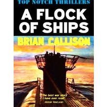 A Flock Of Ships