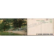 CT New London Postcard To The Swings Riverside Park ct_box4~1808