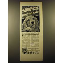 1938 Pard Dog Food Ad - $5,000.00 first prize name this puppy