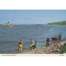 Scottish Salmon Fishers at Aberdeen Rare 1980s Postcard