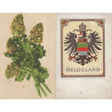 Helgoland German Shield Flag Old Wappen Vegetable Kunstverlag 2x Rare Postcard s