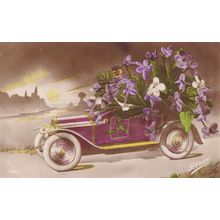 Classic Car With Purple Tulips Growing From It Old Postcard