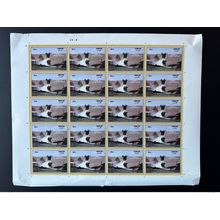 Afghanistan 2019 full sheet India Everlasting Friendship Dam local printing