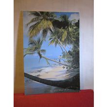 CORAL SANDS, PIGEON POINT, TOBAGO unused postcard Trinidad & Tobago (a) =
