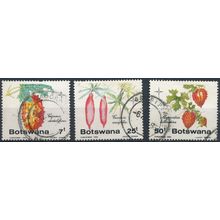 Edible Wild Cucumbers: 3 Values - Botswana 1985 - FH - SG 586 & 588/9