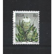 SouthAfrica.SG421 8c Protea Mundii.Fine Used.Sep25g