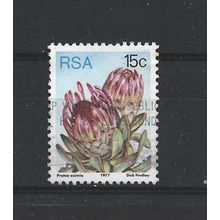 SouthAfrica.SG424 15c Protea Eximia.Fine Used.Sep25c