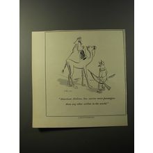 1953 American Airlines Ad - cartoon by Bernard Wiseman - Camel