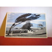 GREEN BEACH, CLEVEDON, SOMERSET used postcard by E T W Dennis 1963 pm =