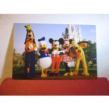 DISNEY, CINDERELLA'S CASTLE, MAGIC KINGDOM PARK unused postcard =