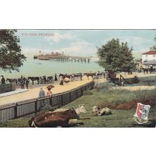 ED37 SWANAGE - THE PIER. PRINTED POSTCARD