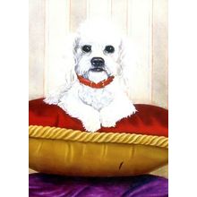 Princess - Mother's Day - Tree Free Greeting Card - 12888